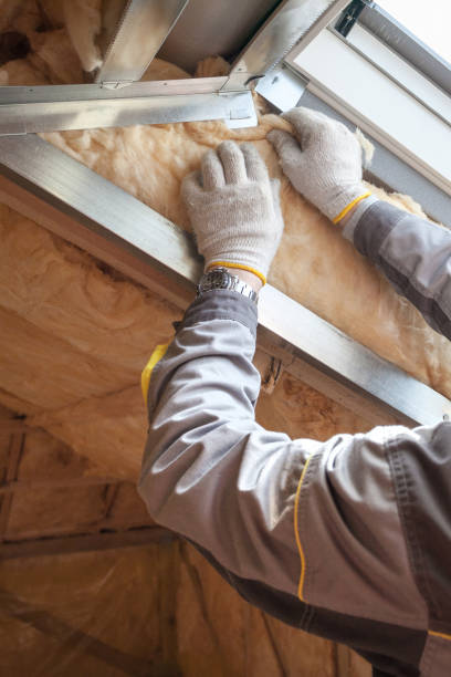 Best Energy-efficient Insulation  in Schriever, LA