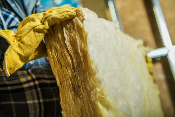 Best Spray Foam Insulation  in Schriever, LA